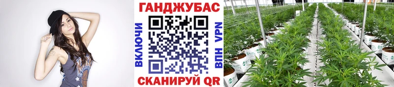 Наркошоп купить ГАШИШ  Бошки Шишки  Альфа ПВП  Бутират  Меф  Пионерский